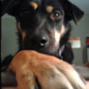 Meet your Posher, Nate